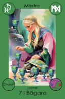 20260120 7 b&auml;gare