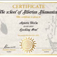 Magneta - Shamanism.png