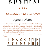 Magneta-Siairunor.png