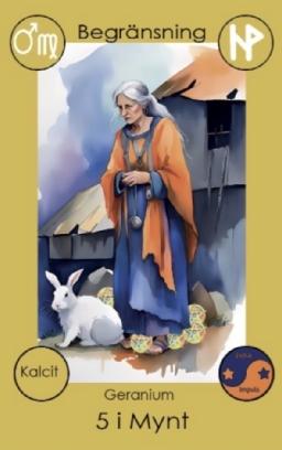 20260319 begr&auml;nsning