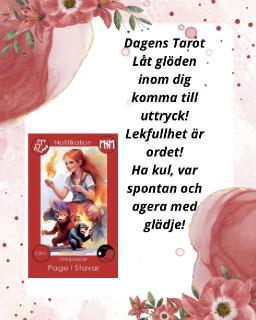 20260424 gl&auml;dje spontanitet och lite bus🤭