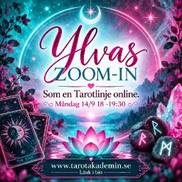 Zooma In