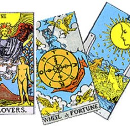 Tarot premium