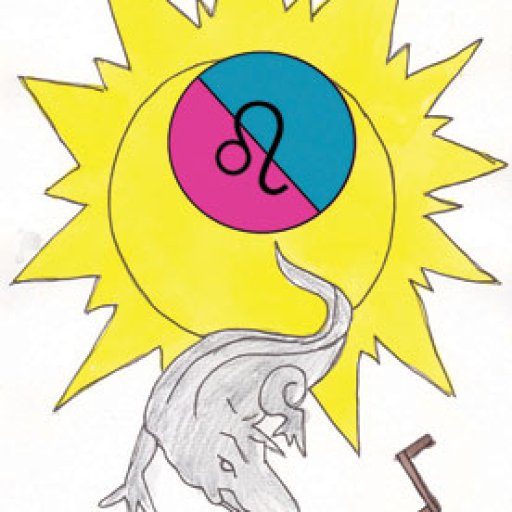 19 The Sun