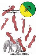 8 of Wands.jpg