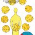 9 of Pentacles