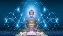 ALLA Kurser/utbildningar