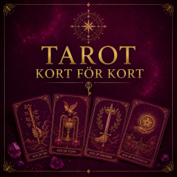 Tarot kort f&ouml;r kort