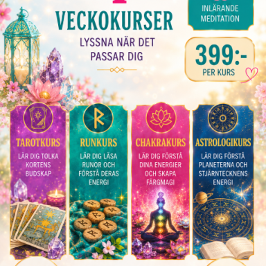 Sommarkurser 2026