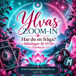 Zoommåndagar.jpg
