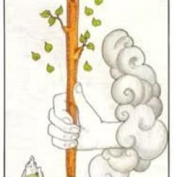 Tarotm&auml;stare - Ess i Stavar