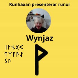 Wynjaz